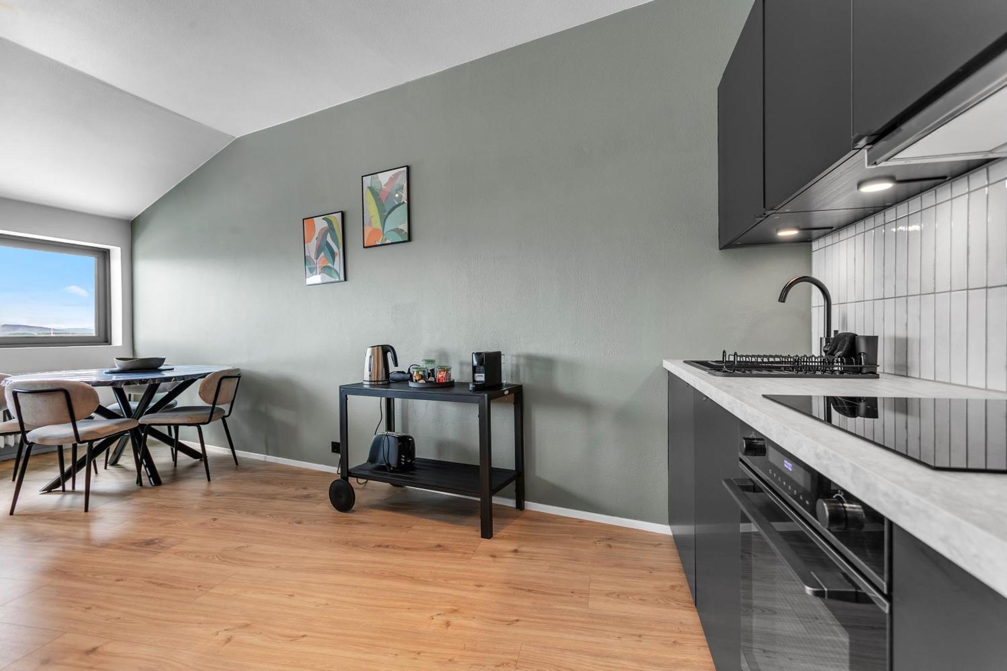 Modern 1br Flat In * Reykjavik
