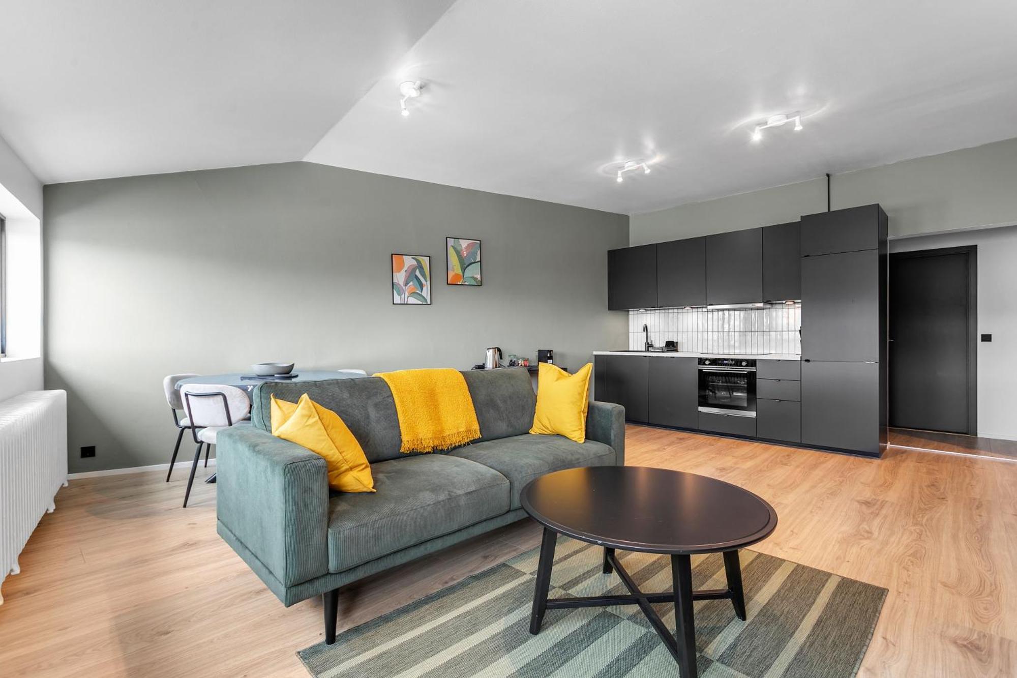 Apartment Modern 1br Flat In Reykjavik